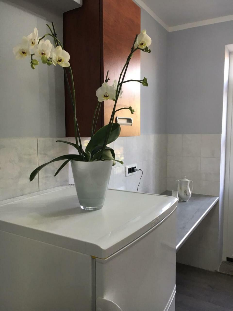 Apartment Kumicic - 3 Bedrooms Ičići エクステリア 写真